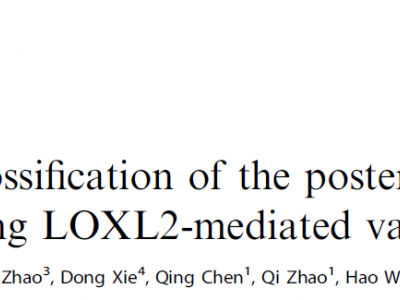 未来骨科 医工融合—文献集萃（三）  索拉非尼通过阻断LOXL2介导的血管化抑制后纵韧带骨化